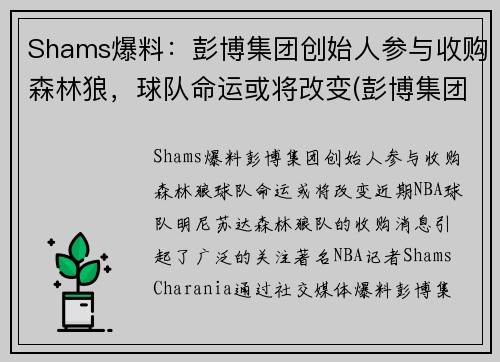 Shams爆料：彭博集团创始人参与收购森林狼，球队命运或将改变(彭博集团市值)